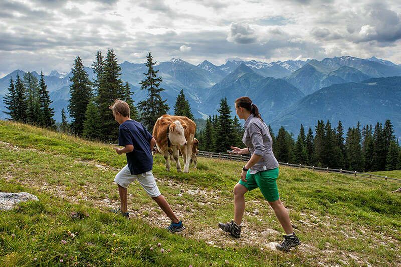 Geocaching – mit dem Smartphone dem Bären auf der Spur