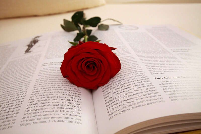 Ambiente mit Rose